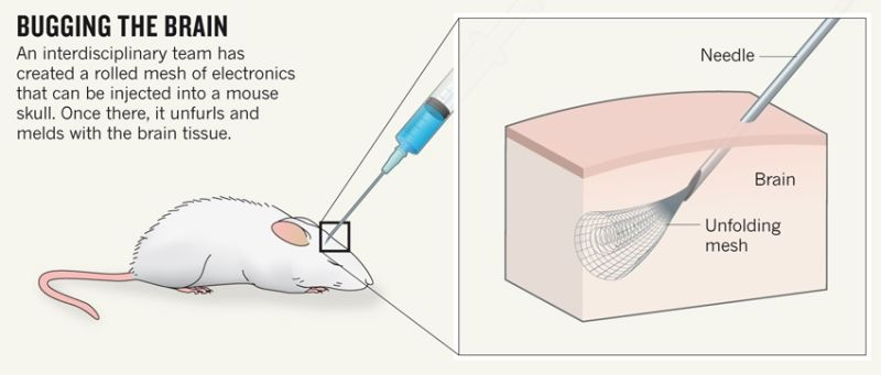 Illustration for article titled Las predicciones más futuristas que se hicieron realidad en 2015
